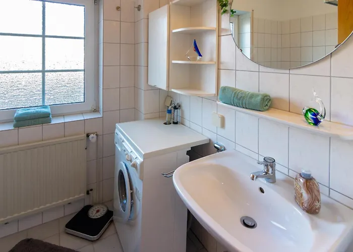 Kleine Robbe * 多纳莫塞尔